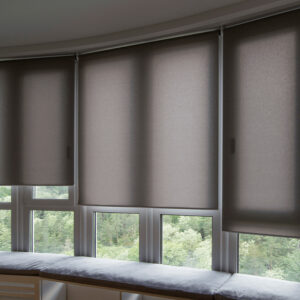 transparent-roller-blind-product